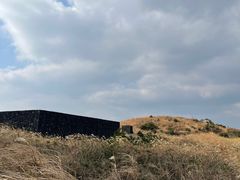-涉地可支