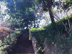 -重庆彩云湖湿地公园