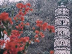 -紫阳古街