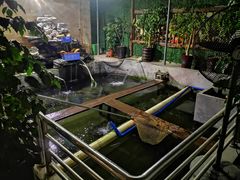 鱼池-渔文乐农庄