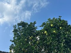 -渔梁坝