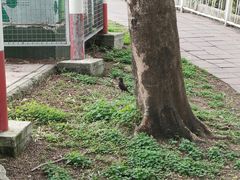 -风云岭森林公园