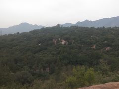 -白水寺森林公园