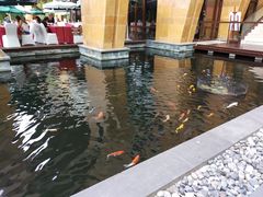 -三亚湾海居铂尔曼度假酒店