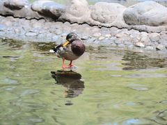-水磨沟公园