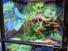 -Rabbit Cafe私房西餐甜点咖啡(栖霞路店)