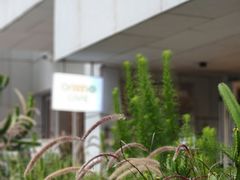 -ommo cafe(半岛城邦店)