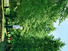 -新疆那拉提国家旅游度假区