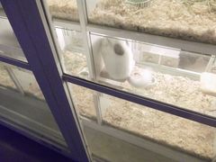 龙猫-龙猫仔乐园(惠福东路店)