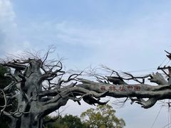 -绥化市森林植物园