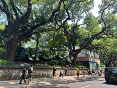 -九龙公园