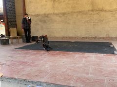 -福建土楼（南靖）云水谣景区-和贵楼