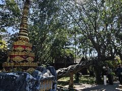 -瑞丽独树成林风景区