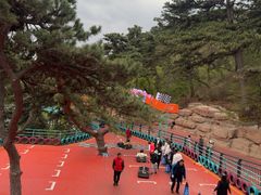 -大芦花风景区