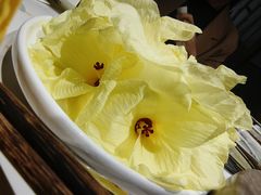 -七采菌园·石锅鱼野生菌火锅(环城北路店)