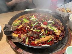 -老板恋上鱼(恒隆广场店)