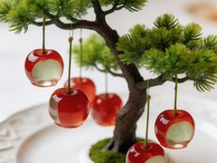 -西郊5号·Maggie 5