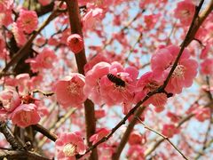 -白塘生态植物园