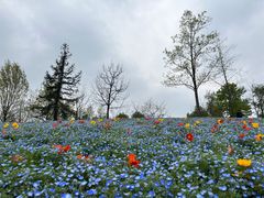 -上海辰山植物园