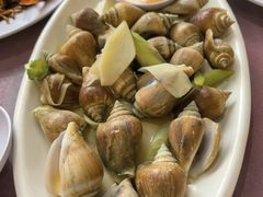 白灼东风螺-大茄来海鲜餐厅(亚洲城分行)
