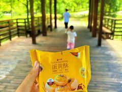 -白塘生态植物园