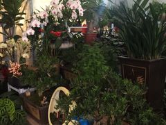 -金陵花卉交易市场