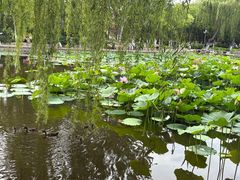-南翠屏公园