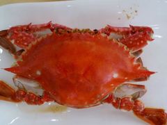 android_upload_pic-海岛渔村大酒店(云霄路店)