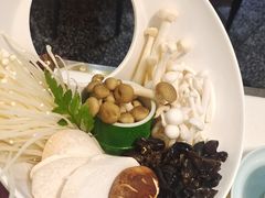 -洪氏嗨捞·猪肚鸡火锅(阳光天地店)