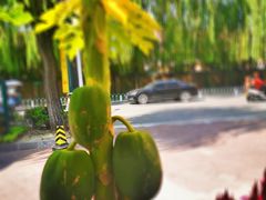 -卖花卖汤(荣祥广场店)