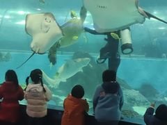 -苏州海洋馆