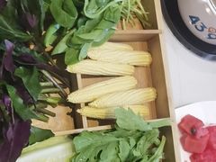 -蒙都43°9羊火锅·赤峰美食(桥北店)