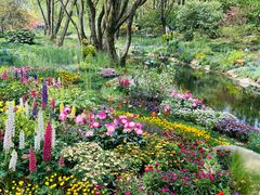 -上海共青森林公园