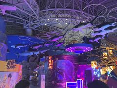 -烟台海昌鲸鲨海洋公园