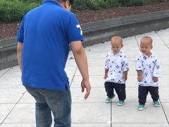 -哈尔滨大剧院