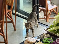 -随意石板烧(大理古城店)