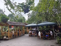 -青城甲(青城山店)