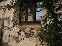 -青果巷历史文化街区