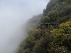 -少华山国家森林公园