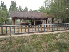 -石家庄市动物园