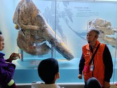 -国家自然博物馆