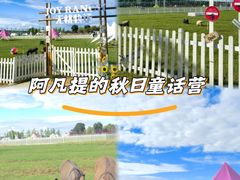 -枫林花海