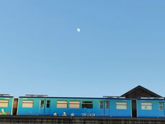-重庆海昌加勒比海水世界