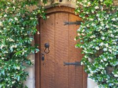 -梅黛奥拉修道院