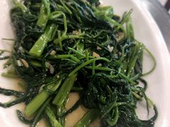 -长平肥姐白粥·海鲜打冷