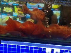 -阿明小菜·海鲜·上海菜(梅陇华理店)