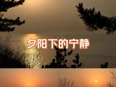 -养马岛旅游度假区