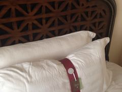 枕头-月亮河温泉度假酒店