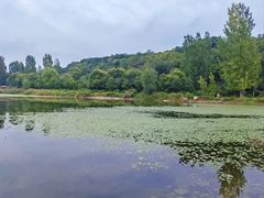 -淇河国家湿地公园