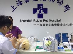 -睿金宠物医院·CT·肿瘤·骨外科
